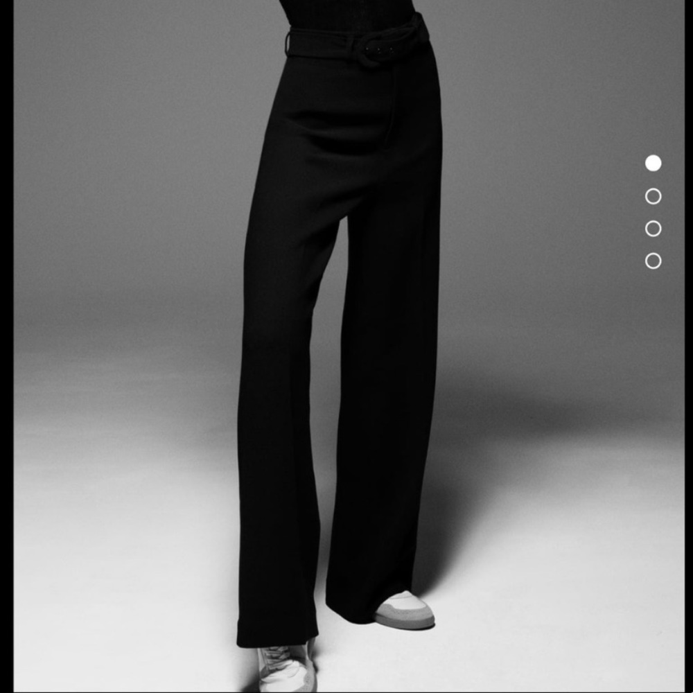 Zara belted textured pants black small